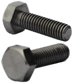 Titanium Screw M5x10 (WJ.LS.T005010)